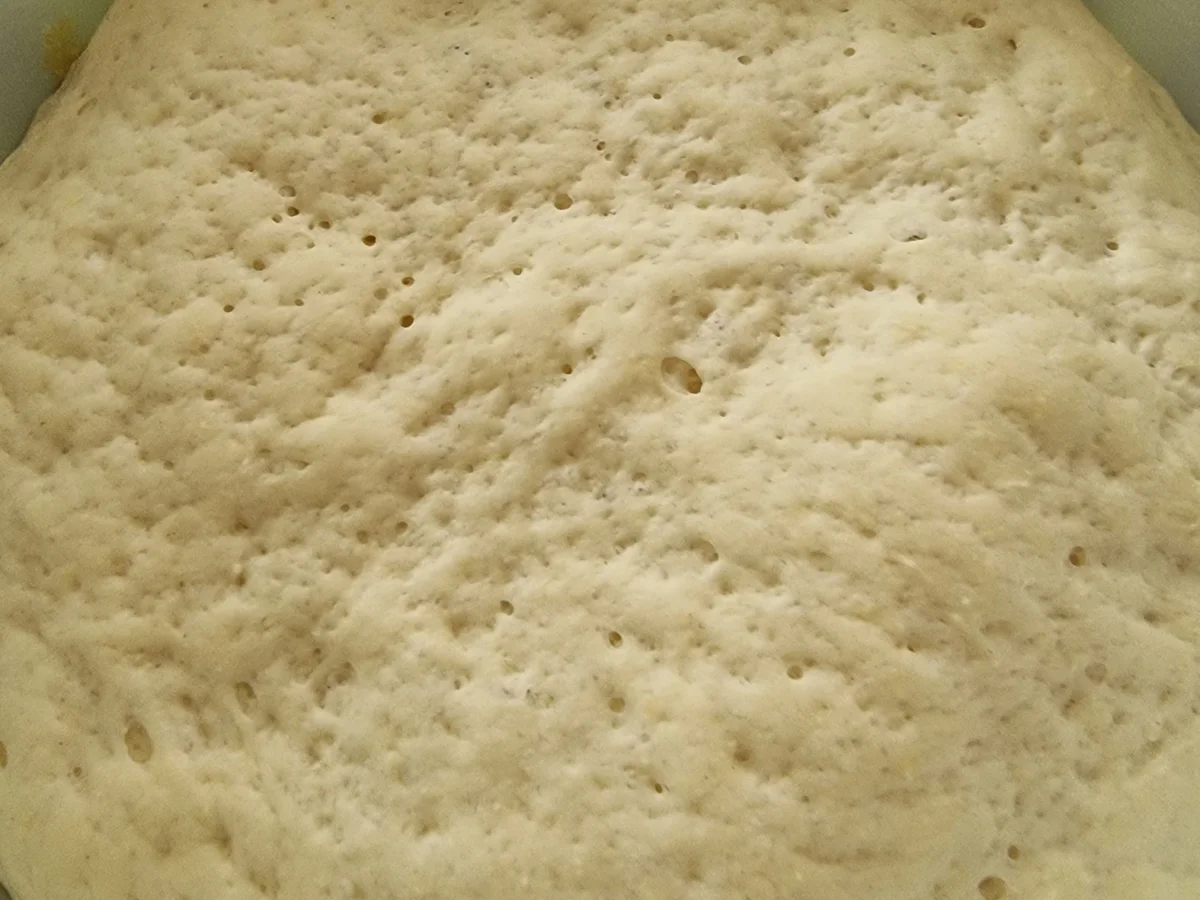 Rezept: Pizza Bianca Bild Nr. 16659 Pizza Bianca - Rezept - Bild Nr. 16659