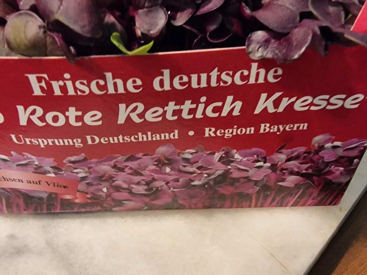 Chorizo-Pasta - Rezept - Bild Nr. 16667