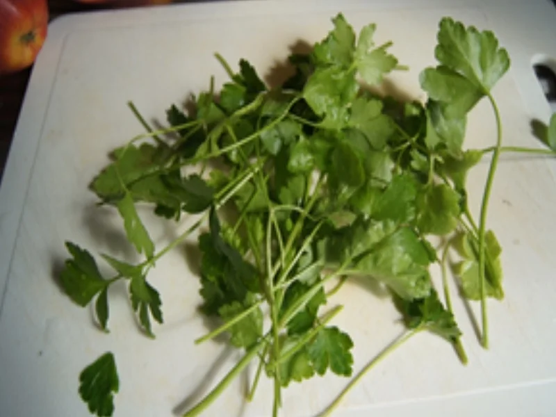 Bratwurst mit Kohlrabi-Gemüse - Rezept - Bild Nr. 5