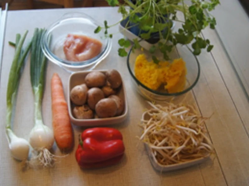 Gebratener Reis mit Hähnchenfleisch und Gemüse - Rezept - Bild Nr. 16655