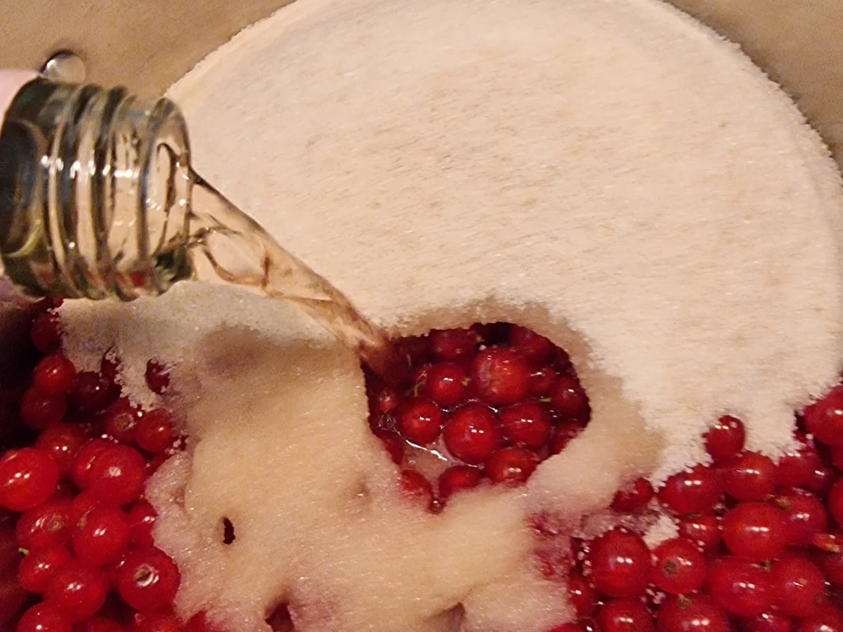 Rezept: Rosé-Johannisbeer-Gelee Bild Nr. 16657 Rosé-Johannisbeer-Gelee - Rezept - Bild Nr. 16657