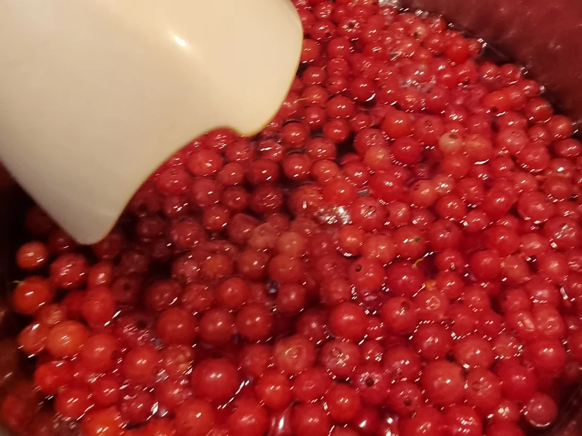 Rezept: Rosé-Johannisbeer-Gelee Bild Nr. 16659 Rosé-Johannisbeer-Gelee - Rezept - Bild Nr. 16659