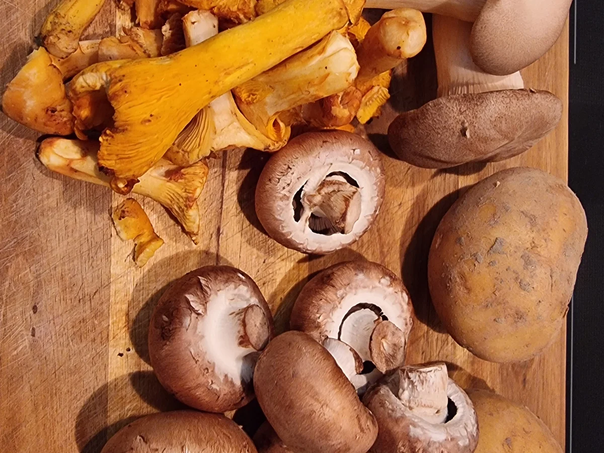 Kartoffel-Pizza mit Pilzen - Rezept - Bild Nr. 16665