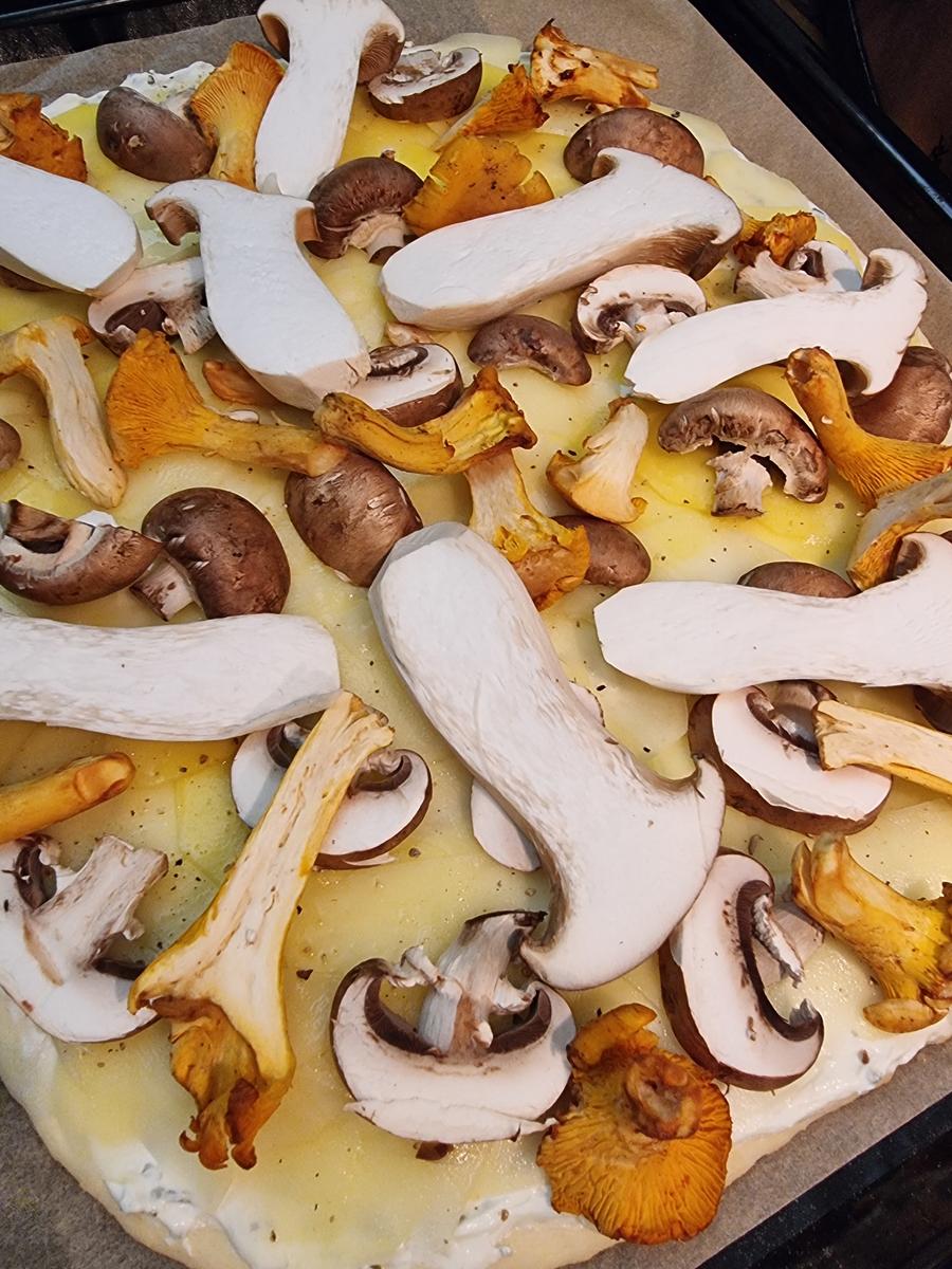 Kartoffel-Pizza mit Pilzen - Rezept - Bild Nr. 16669