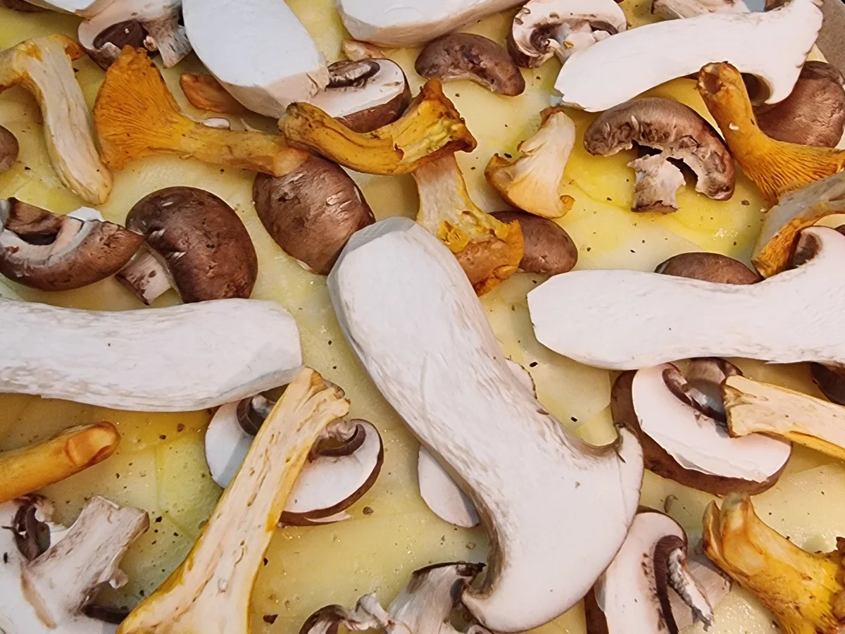 Kartoffel-Pizza mit Pilzen - Rezept - Bild Nr. 16669