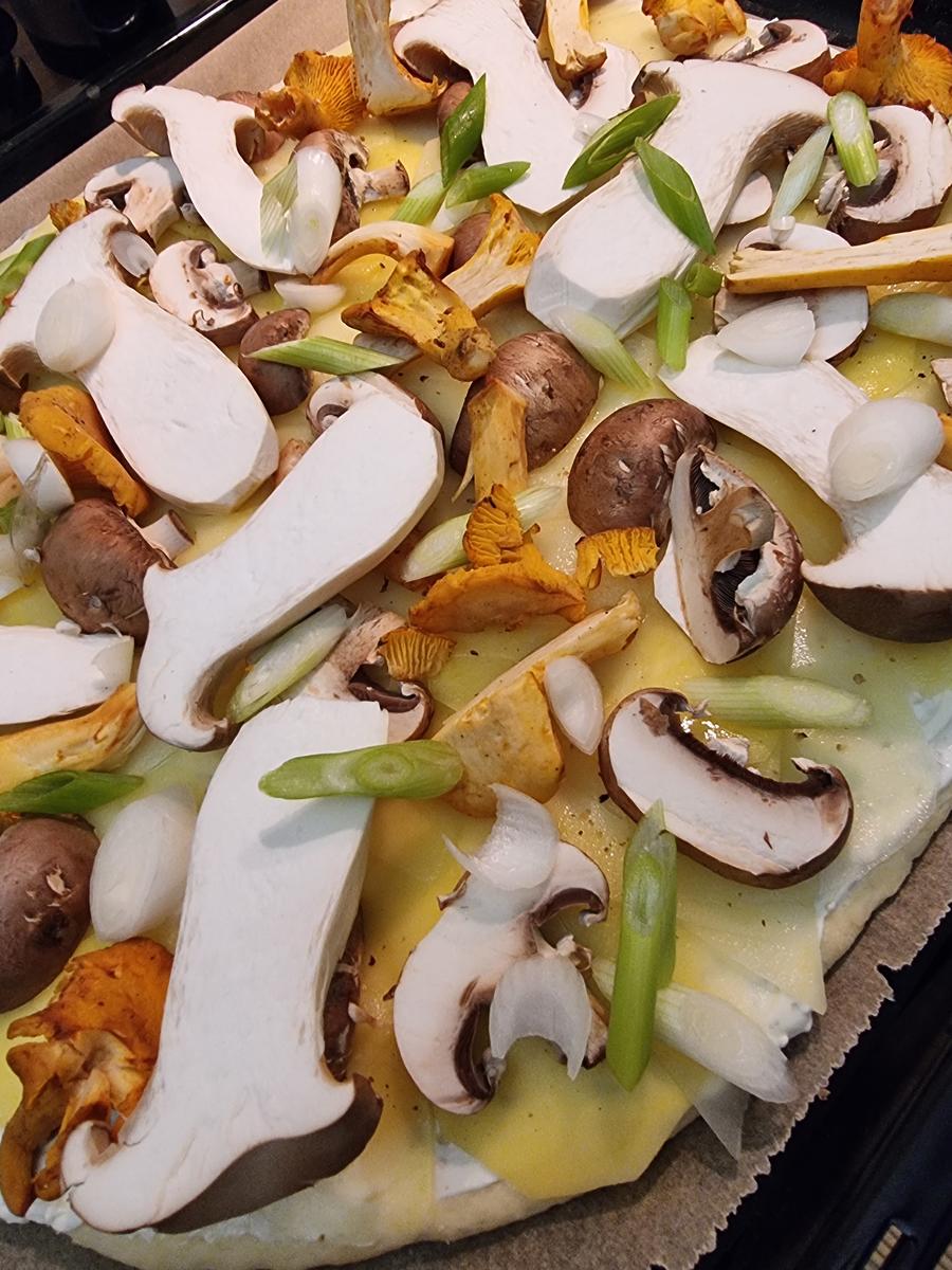 Kartoffel-Pizza mit Pilzen - Rezept - Bild Nr. 16671