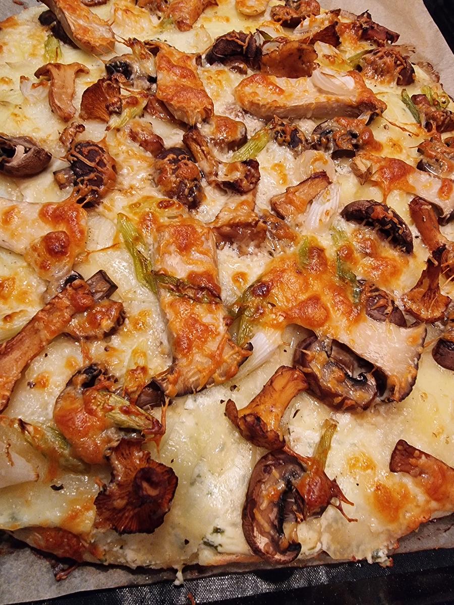 Kartoffel-Pizza mit Pilzen - Rezept - Bild Nr. 16673