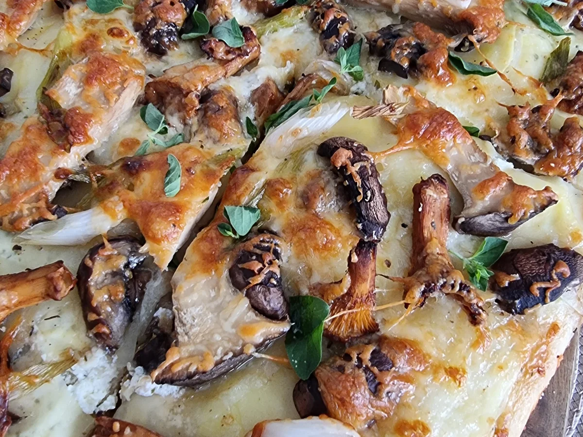Kartoffel-Pizza mit Pilzen - Rezept - Bild Nr. 16701