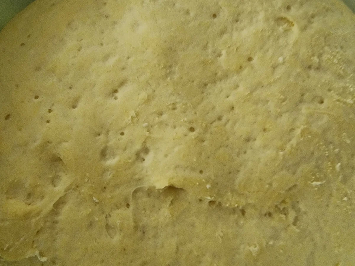 Kartoffel-Pizza mit Pilzen - Rezept - Bild Nr. 16706