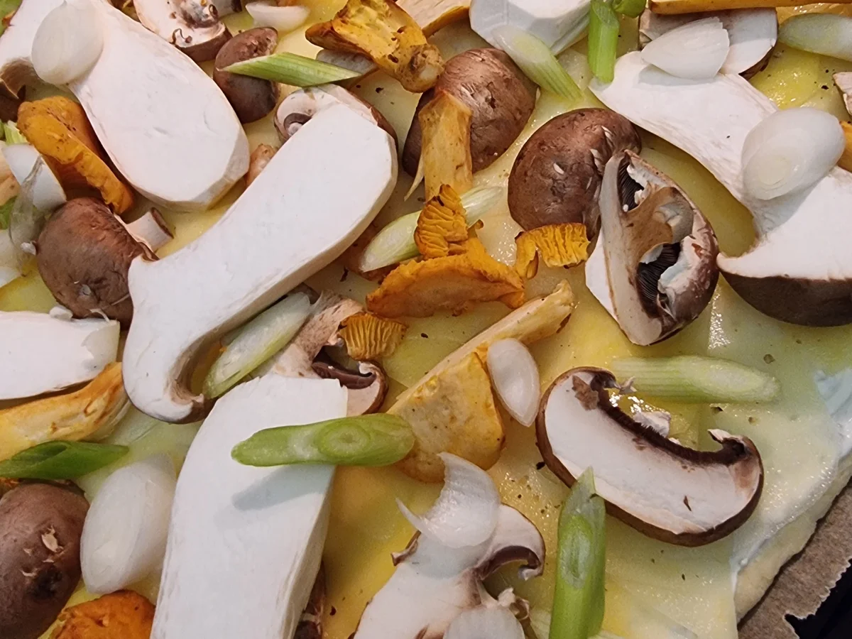 Kartoffel-Pizza mit Pilzen - Rezept - Bild Nr. 16716