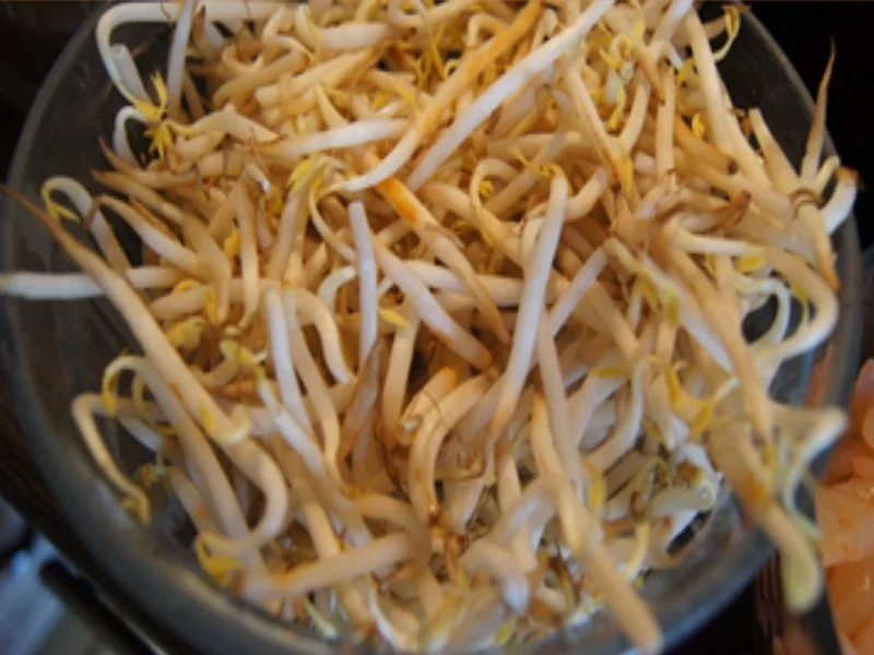 Rezept: Chow Mein mit Garnelen Bild Nr. 16706 Chow Mein mit Garnelen - Rezept - Bild Nr. 16706