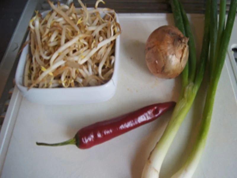 Reisbuletten mit gebratenen Sojabohnensprossen - Rezept - Bild Nr. 8