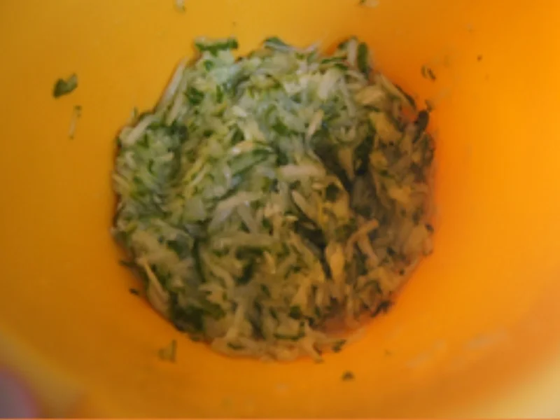 Rezept: Zaziki Bild Nr. 16704 Zaziki - Rezept - Bild Nr. 16704