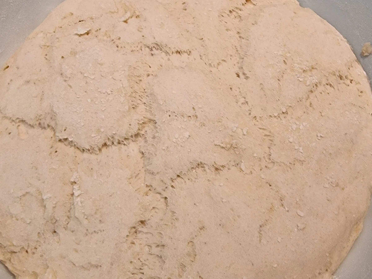 Tomaten-Focaccia - Rezept - Bild Nr. 16707