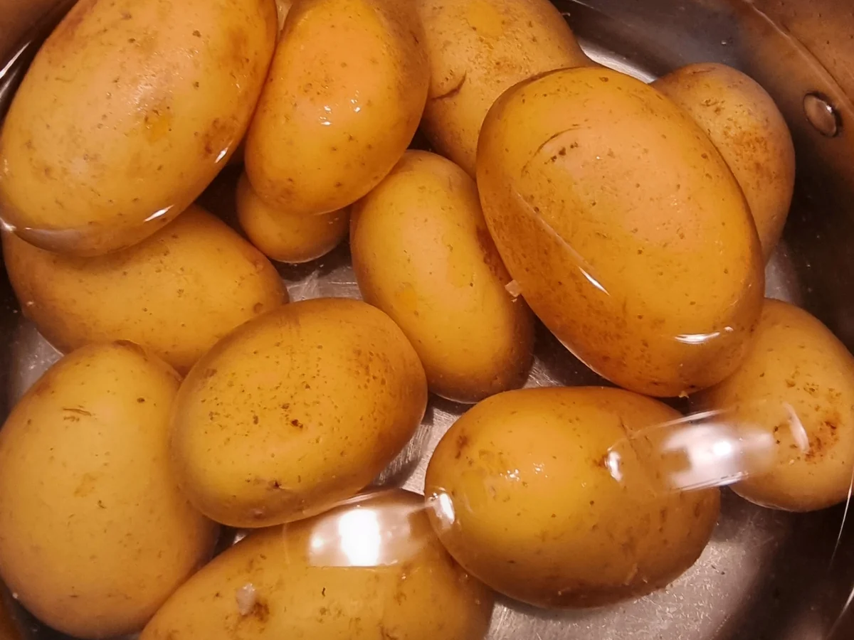 Kartoffelsalat mit Gurke und Apfel - Rezept - Bild Nr. 16702