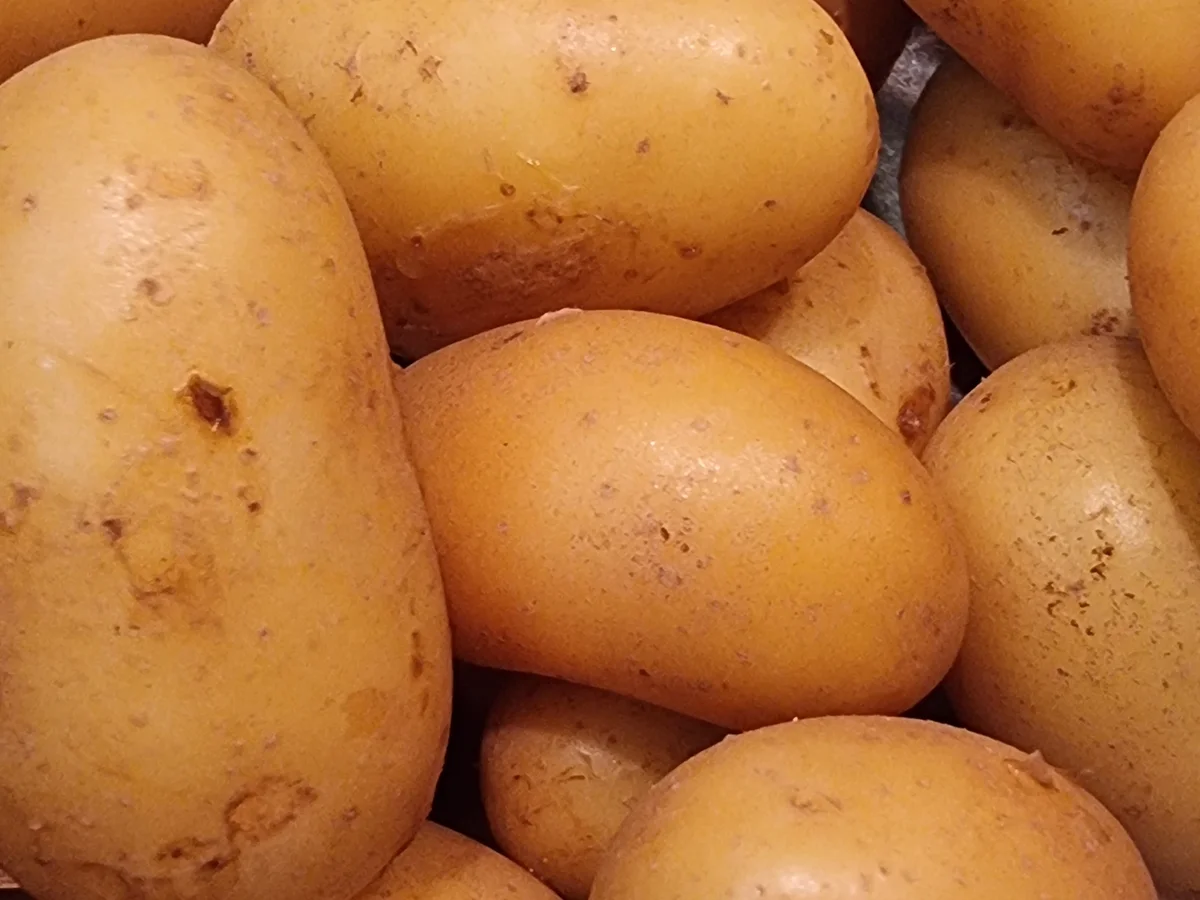 Kartoffelsalat mit Gurke und Apfel - Rezept - Bild Nr. 16703