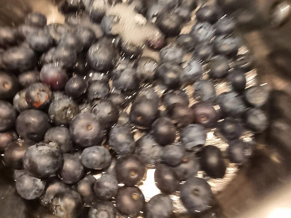 New York Chessecake mit Blaubeersauce - Rezept - Bild Nr. 16710