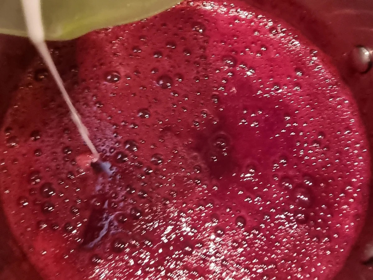 New York Chessecake mit Blaubeersauce - Rezept - Bild Nr. 16713