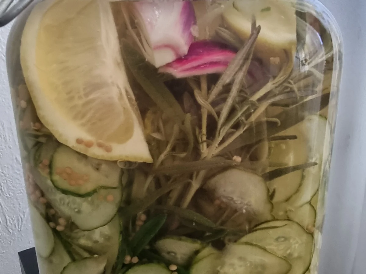 Rezept: Eingelegte Rosmarin-Gurken Bild Nr. 16701 Eingelegte Rosmarin-Gurken - Rezept - Bild Nr. 16701