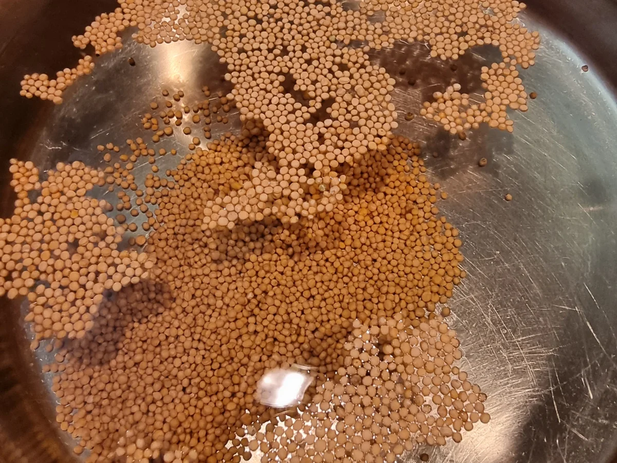 Rezept: Eingelegte Rosmarin-Gurken Bild Nr. 16702 Eingelegte Rosmarin-Gurken - Rezept - Bild Nr. 16702