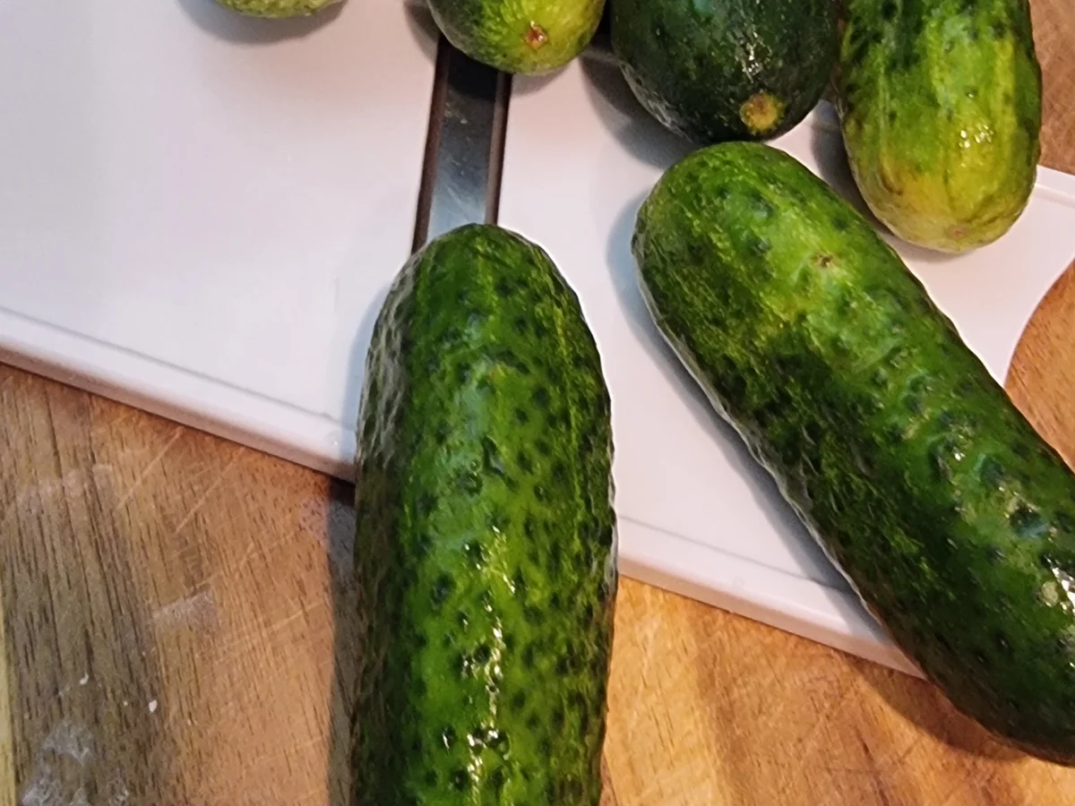 Rezept: Eingelegte Rosmarin-Gurken Bild Nr. 16703 Eingelegte Rosmarin-Gurken - Rezept - Bild Nr. 16703