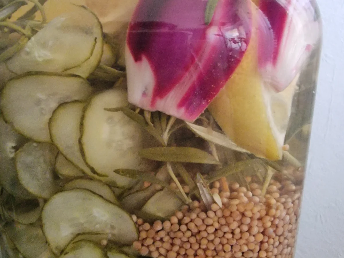 Rezept: Eingelegte Rosmarin-Gurken Bild Nr. 16708 Eingelegte Rosmarin-Gurken - Rezept - Bild Nr. 16708