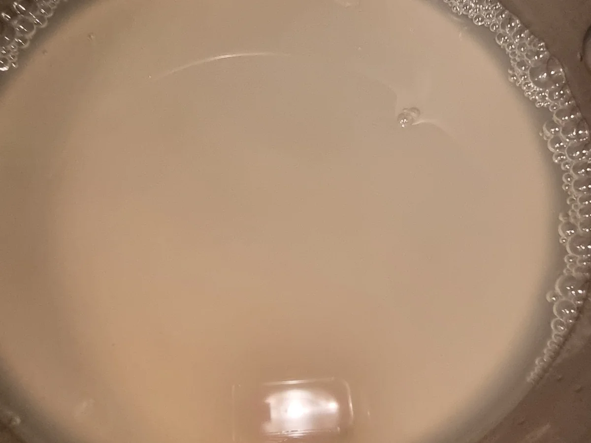 Spaghetti mit Spinat-Pesto - Rezept - Bild Nr. 16710