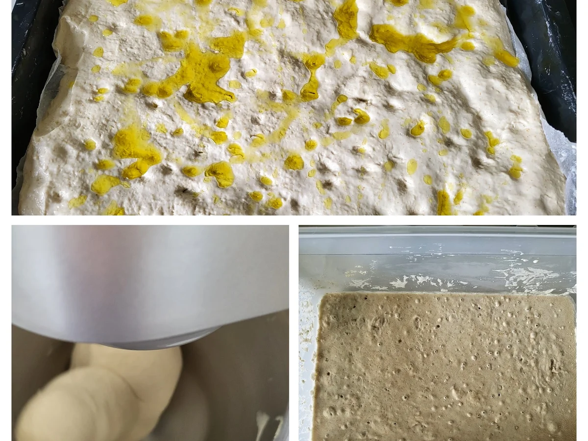 Sfincione palermitano - Rezept - Bild Nr. 16702