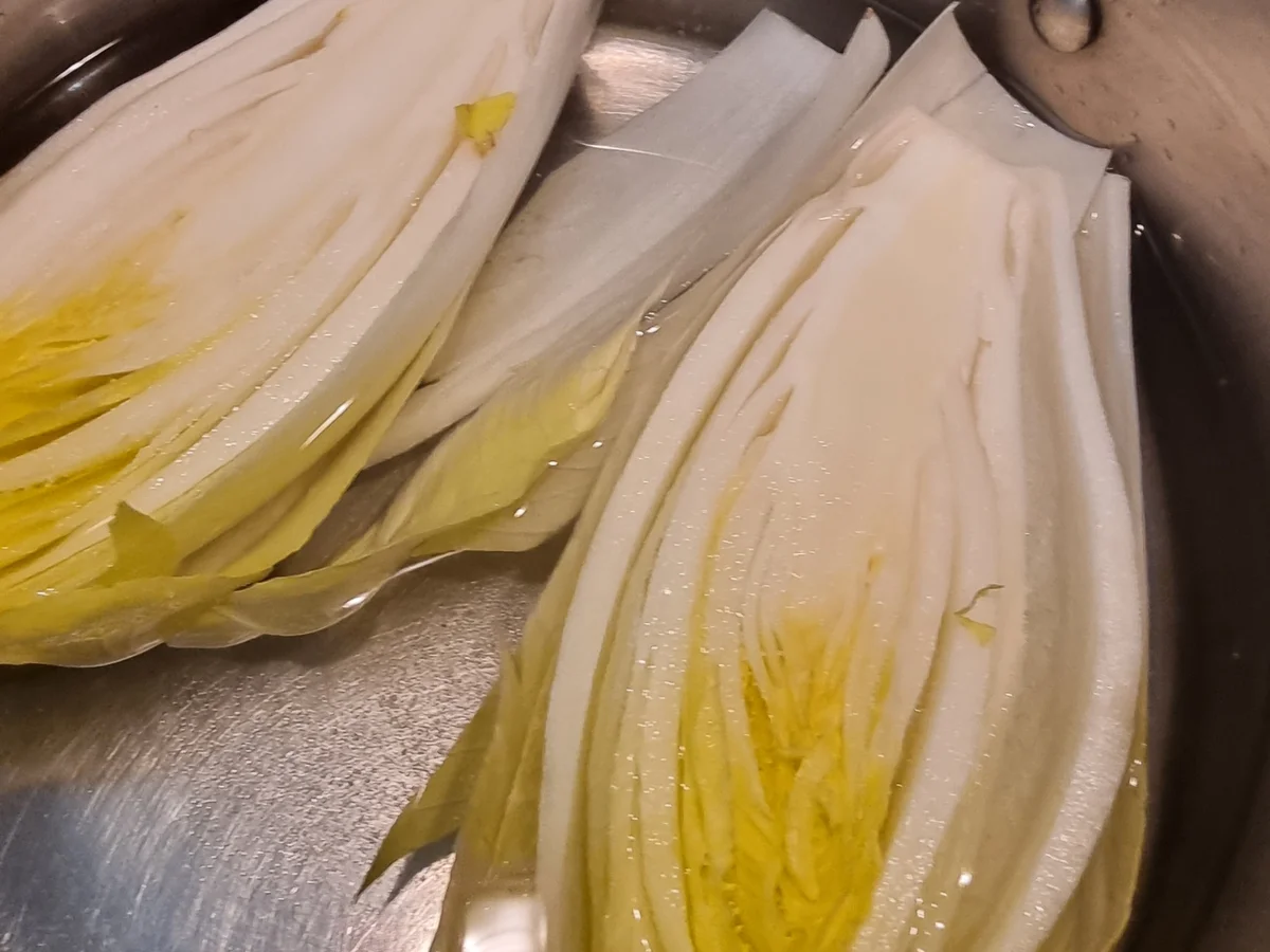 Überbackener Chicorée mit Schinken - Rezept - Bild Nr. 16703