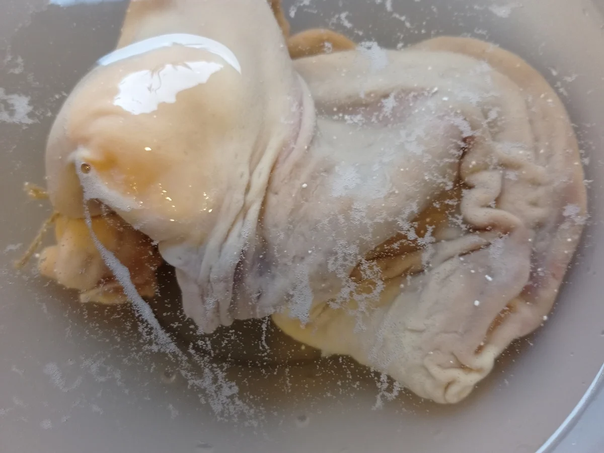 Rezept: Saumagen Bild Nr. 16709 Saumagen - Rezept - Bild Nr. 16709