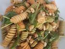Nudeln mit Tomaten-Zitronen -Pesto - Rezept - Bild Nr. 16702