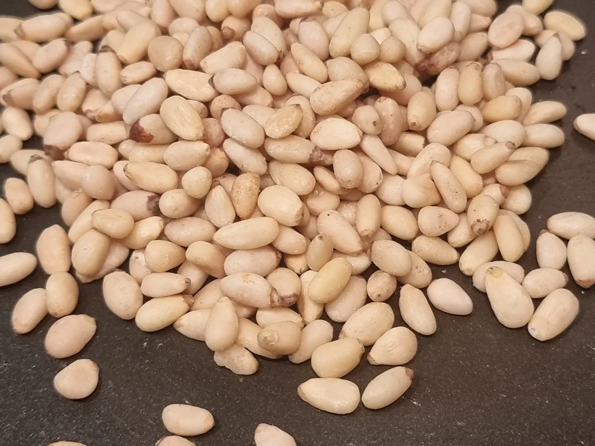 Rezept: Nudeln mit Tomaten-Zitronen -Pesto Bild Nr. 16703 Nudeln mit Tomaten-Zitronen -Pesto - Rezept - Bild Nr. 16703