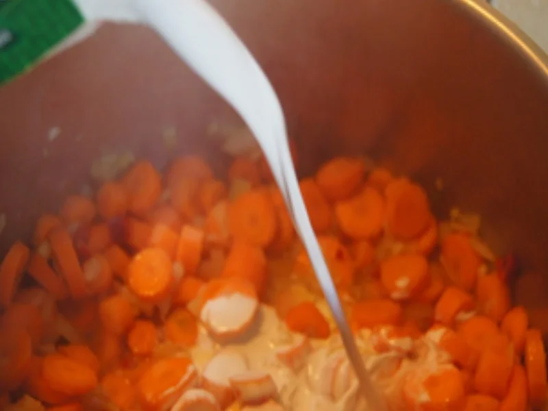 Rezept: Asiatisch gewürzte Möhrensuppe mit Garnelenspieß Bild Nr. 8 Asiatisch gewürzte Möhrensuppe mit Garnelenspieß - Rezept - Bild Nr. 8