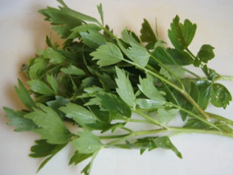 Gemüsesuppe mit asiatischer Note und Garnelen - Rezept - Bild Nr. 5