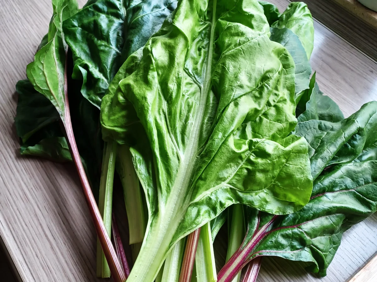 Burrata auf Spaghetti mit Mangold und Tomaten - Rezept - Bild Nr. 16706