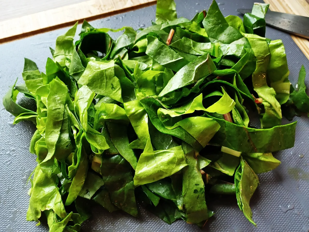 Burrata auf Spaghetti mit Mangold und Tomaten - Rezept - Bild Nr. 16708