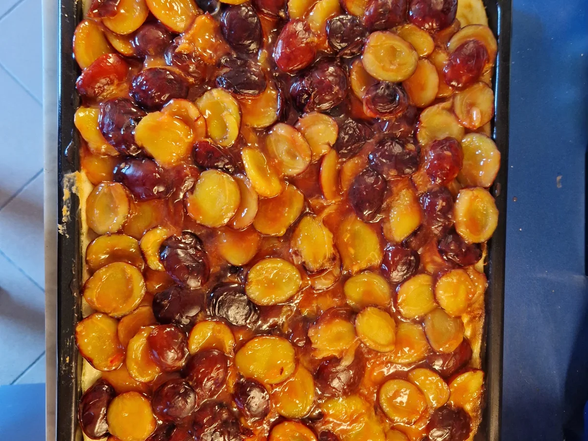 Zwetschgen-Schmandkuchen - Rezept - Bild Nr. 16705