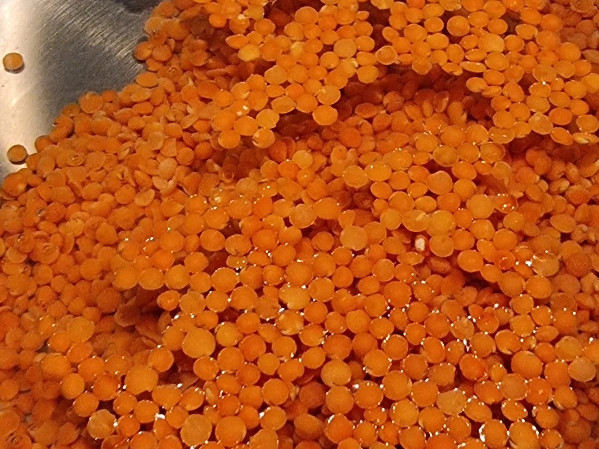 Linsenbällchen mit Spaghetti und Tomatensauce - Rezept - Bild Nr. 16725