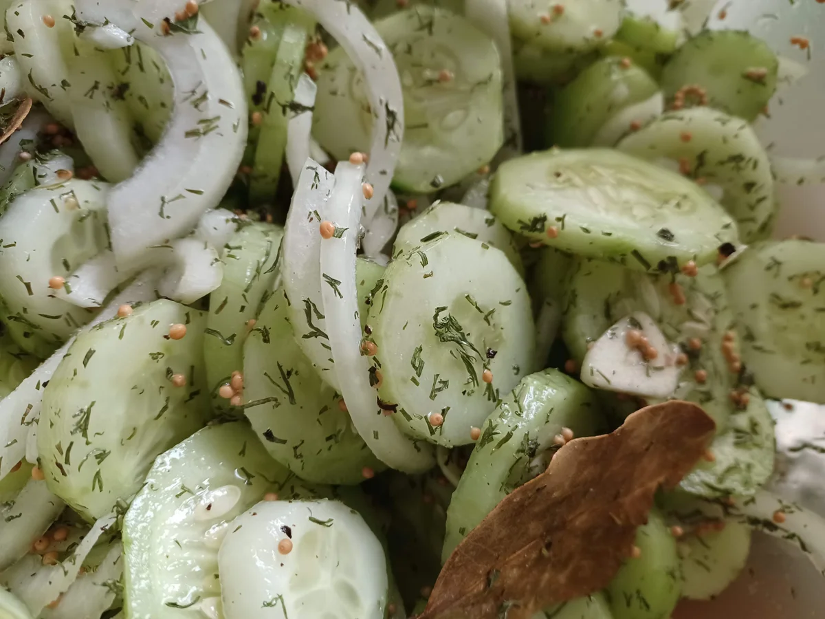 Schüttelgurken - Rezept - Bild Nr. 16724