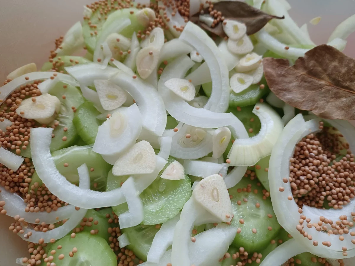 Schüttelgurken - Rezept - Bild Nr. 16728