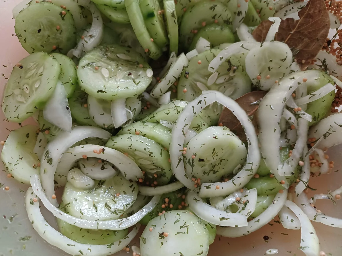 Schüttelgurken - Rezept - Bild Nr. 16730