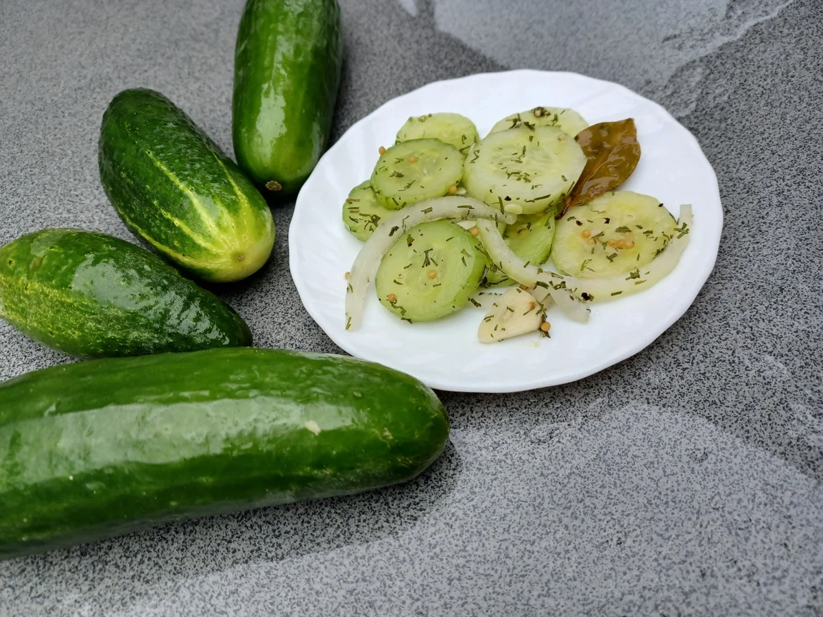 Schüttelgurken - Rezept - Bild Nr. 16733