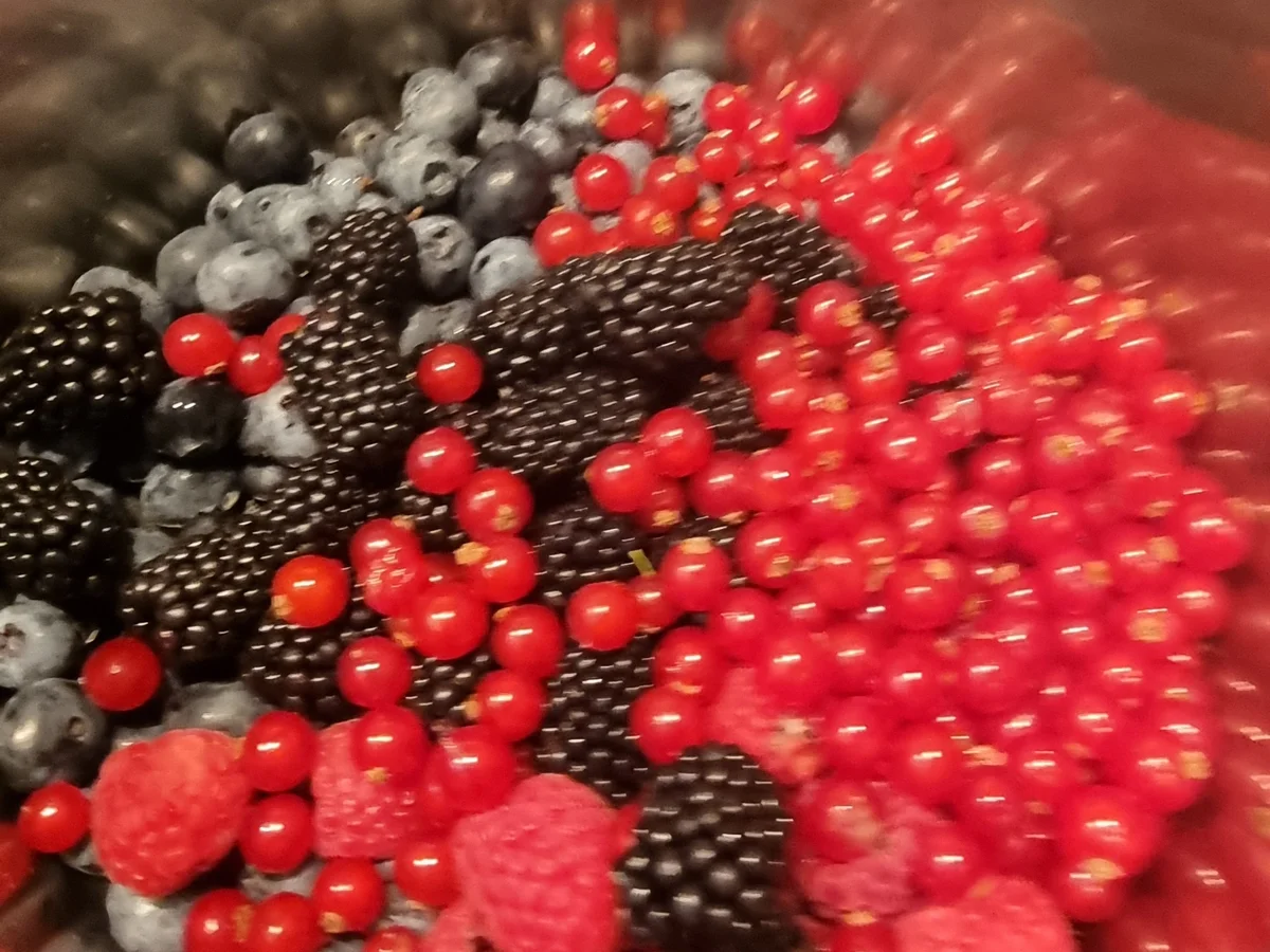 Rezept: Vierfrucht-Konfitüre Bild Nr. 16731 Vierfrucht-Konfitüre - Rezept - Bild Nr. 16731