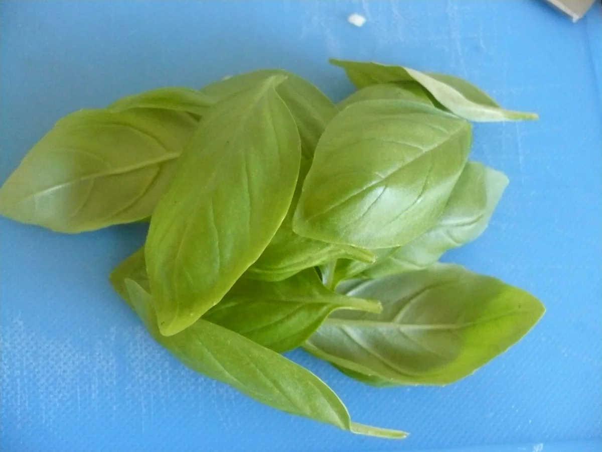 Auberginen - Pizza - Rezept - Bild Nr. 16734