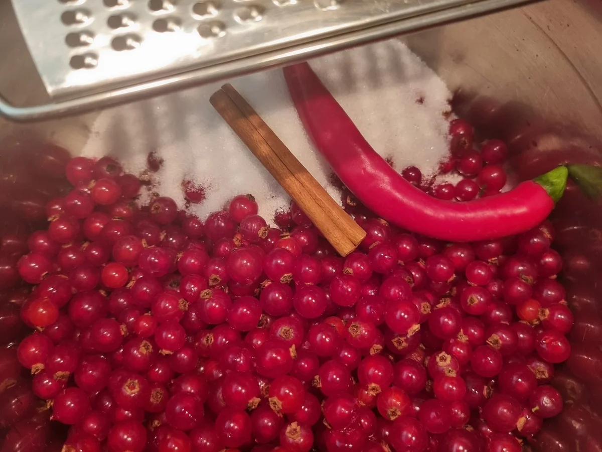 Süßsaures Johannisbeer-Chutney - Rezept - Bild Nr. 16733