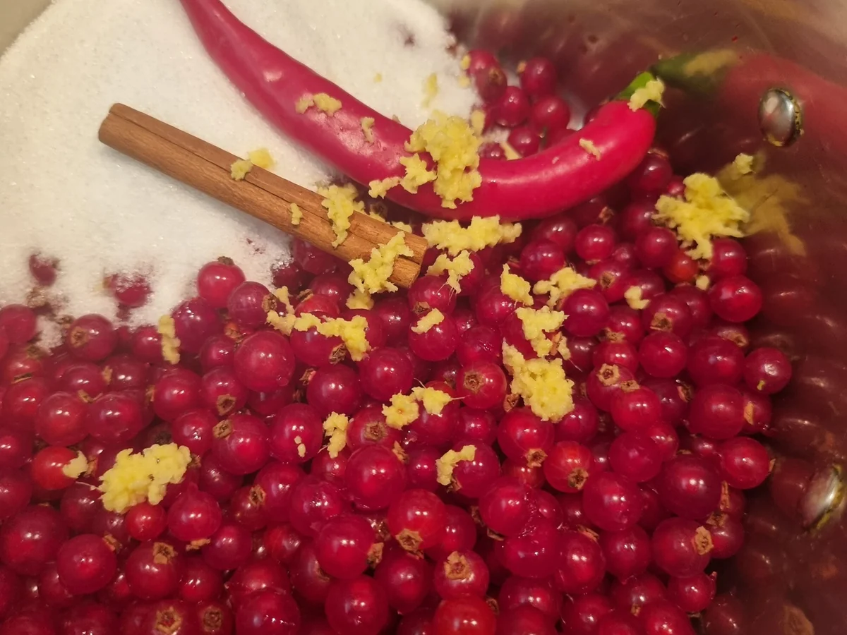 Süßsaures Johannisbeer-Chutney - Rezept - Bild Nr. 16734