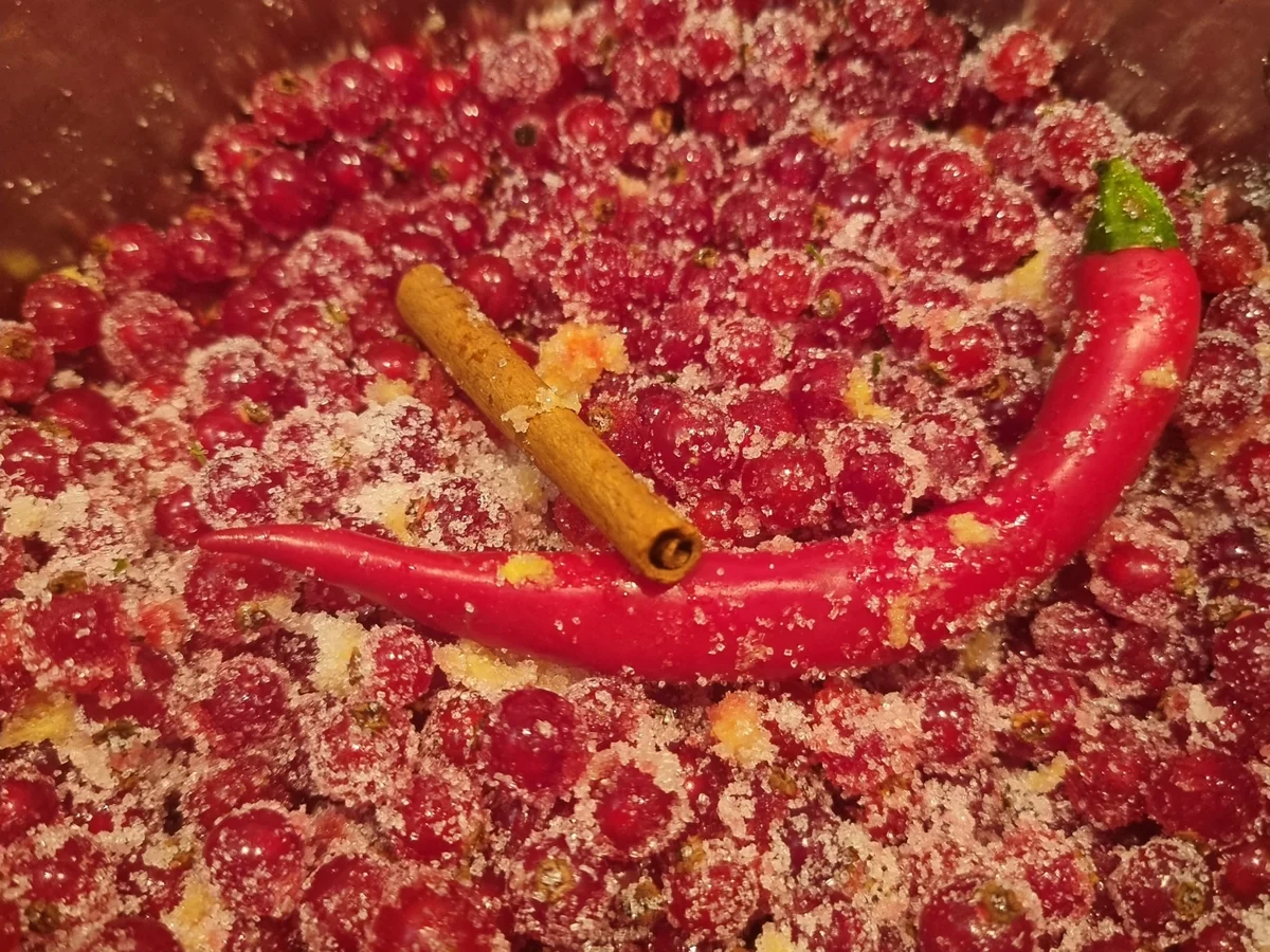 Süßsaures Johannisbeer-Chutney - Rezept - Bild Nr. 16735