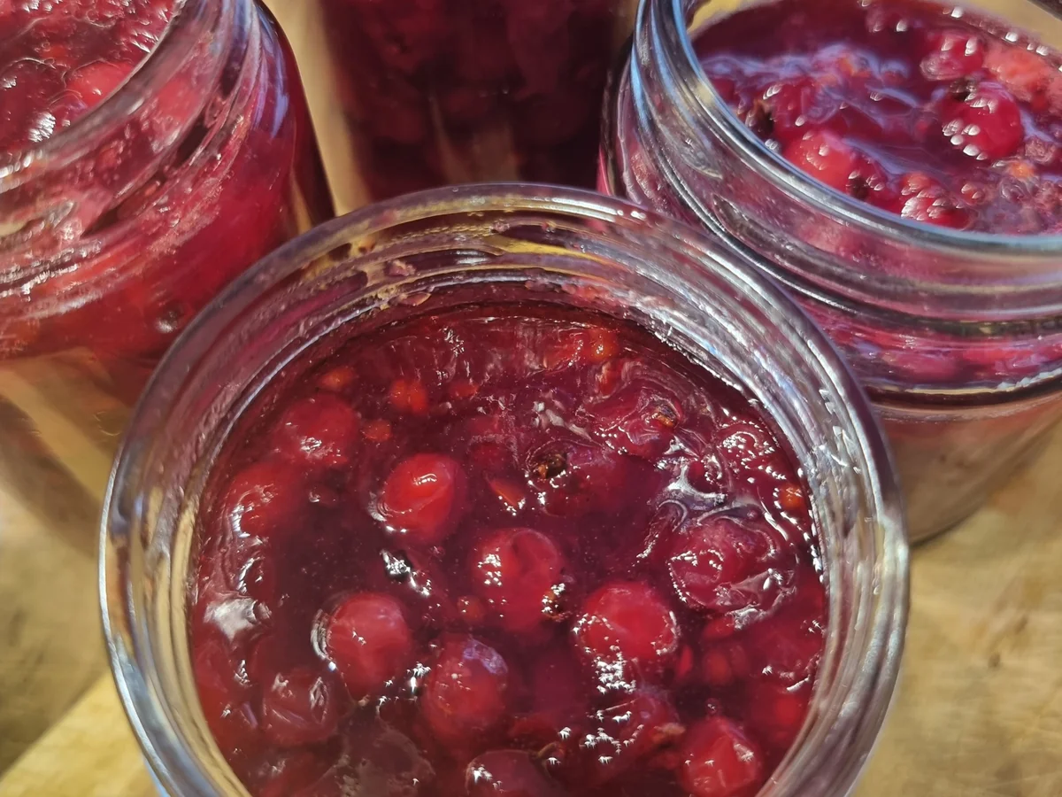 Süßsaures Johannisbeer-Chutney - Rezept - Bild Nr. 16737
