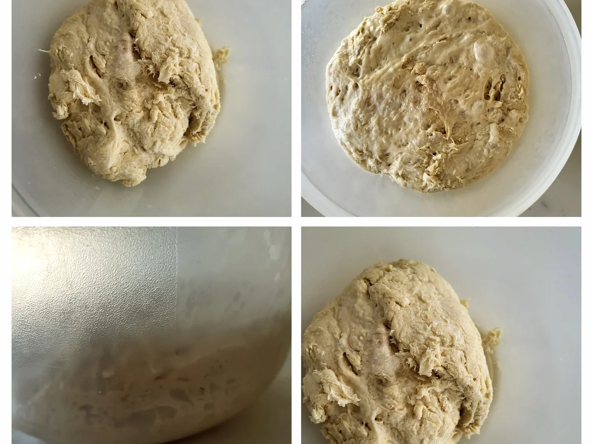 Rezept: Berliner Schrippen mit Paté fermentée. Bild Nr. 16732 Berliner Schrippen mit Paté fermentée. - Rezept - Bild Nr. 16732