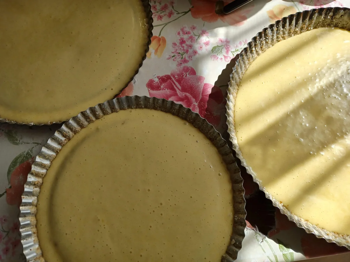 Blaubeerjoghurt - Sahnetorte - Rezept - Bild Nr. 16733